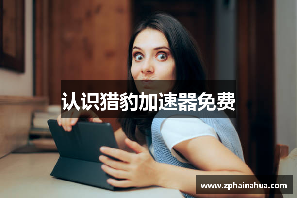 认识猎豹加速器免费